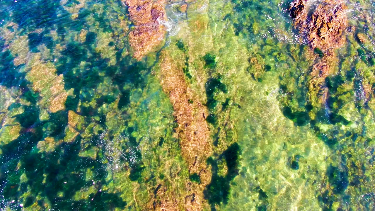 Overhead view of clear shallow water in La Bocana, Baja California Sur, with green algae and brown rock shapes visible beneath the surface, no visible people.