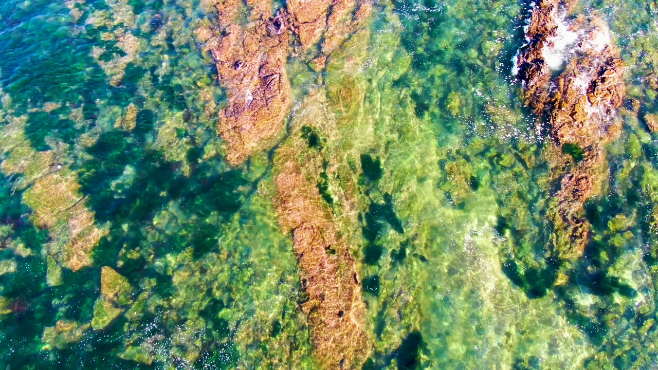 Clear La Bocana coastal water shows a brown rock ridge near the upper frame, green algae below it, and small white foam flecks on the surface, no visible people.