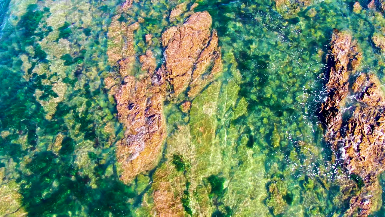 Overhead view of clear shallow water in La Bocana, Baja California Sur, showing green algae, orange-brown rocks, and no visible people at the start of the clip.