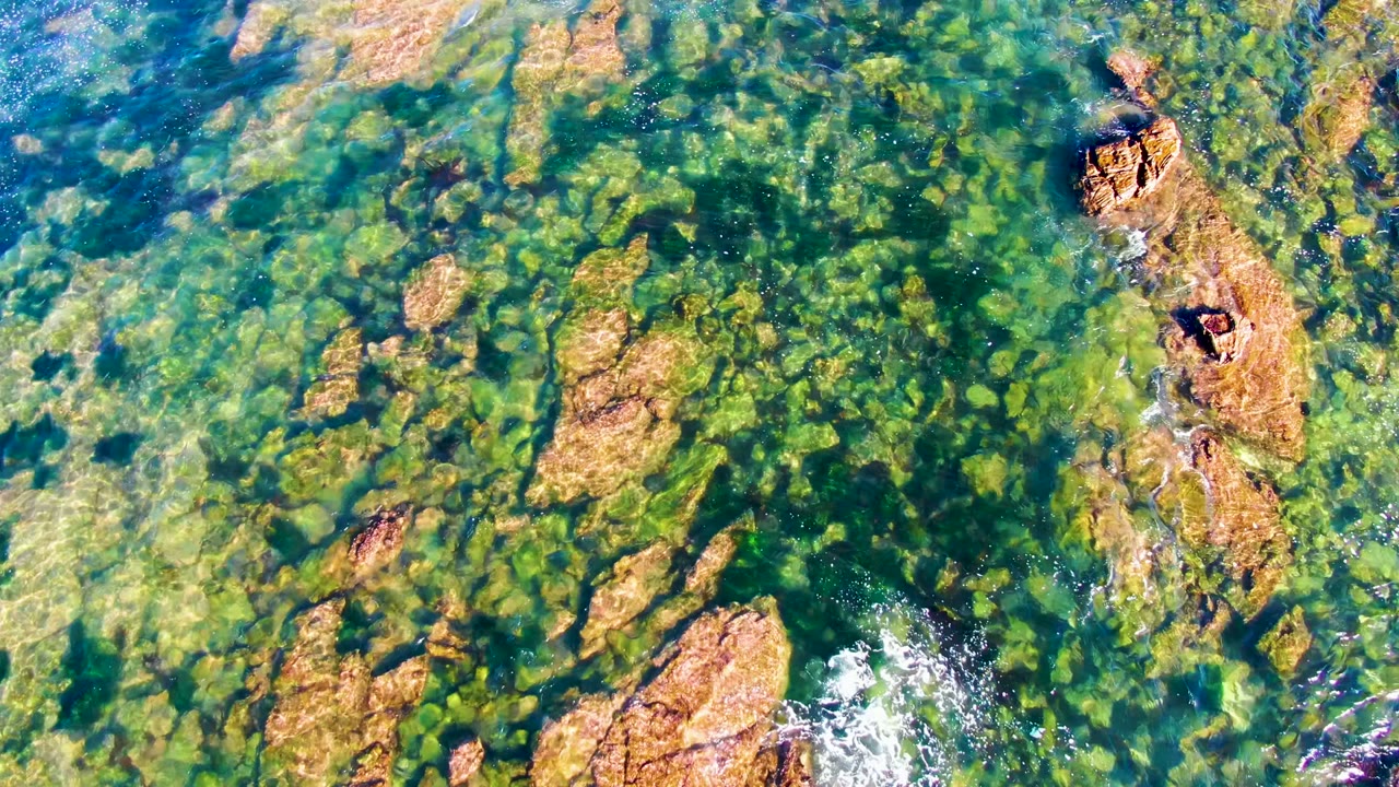 Top-down view in La Bocana, Baja California Sur showing clear green-blue water over submerged tan rocks and algae patches, with no visible people.