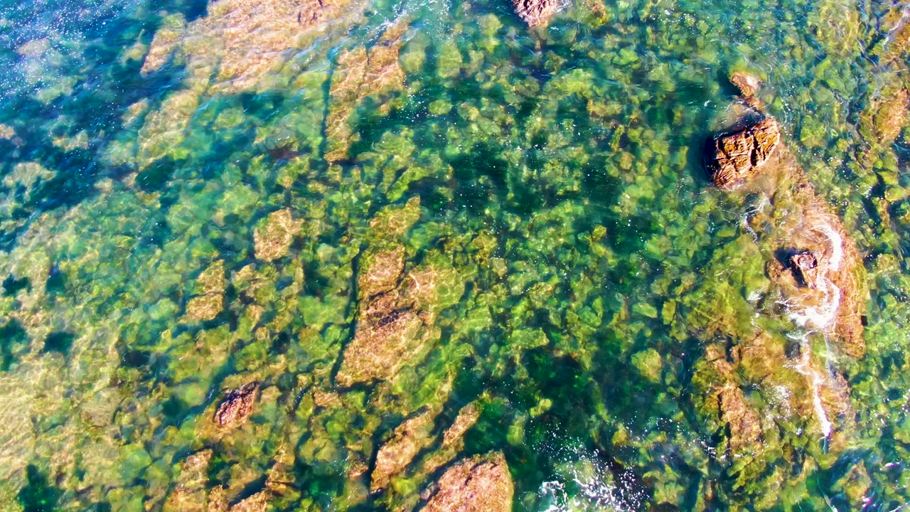 Sunlit rocky seabed visible through shallow green water