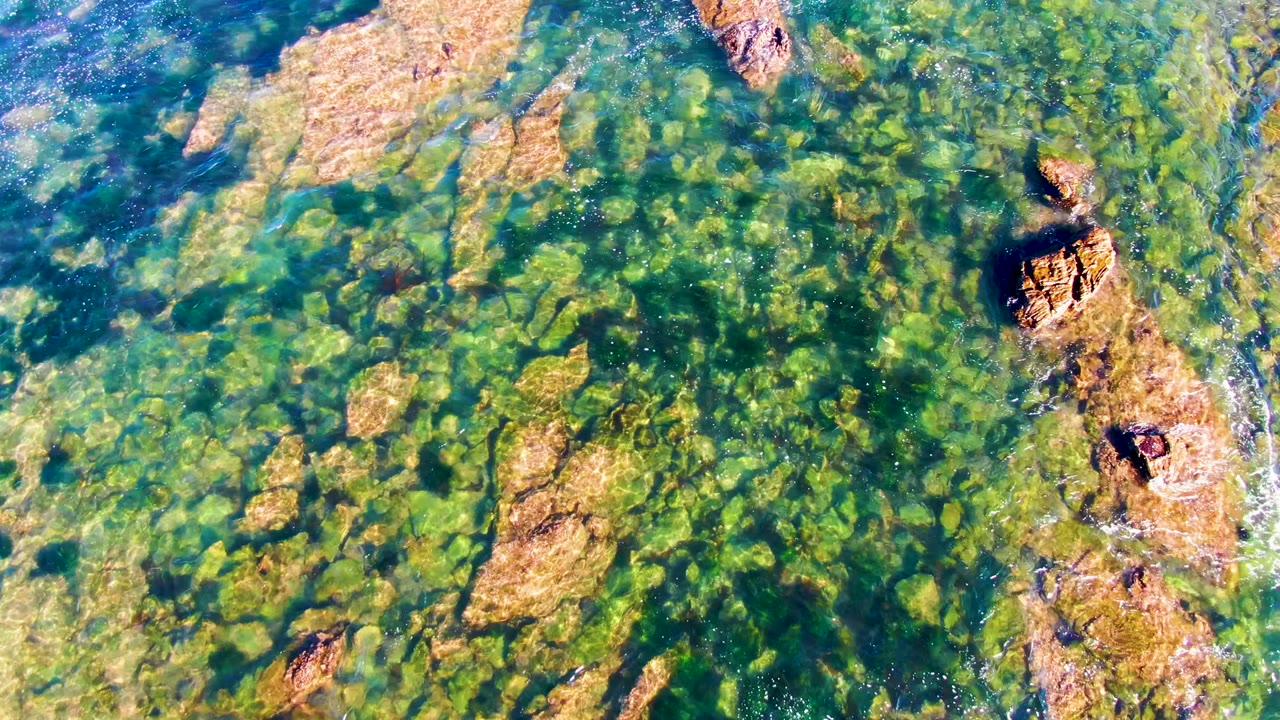 Overhead view in La Bocana with larger tan rock forms crossing the shallow water and green algae visible between the rocks, with no visible people.