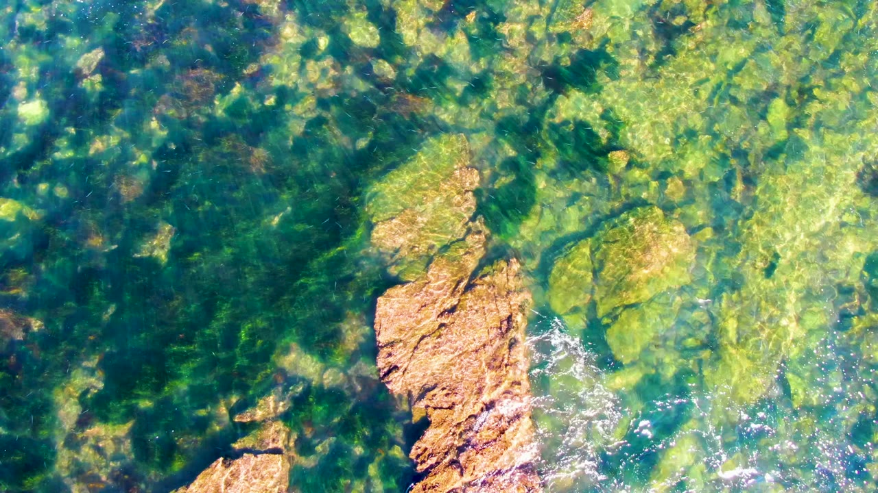 Overhead view of clear green-blue water over tan rocks and dark seaweed in La Bocana, Baja California Sur, with no visible people.