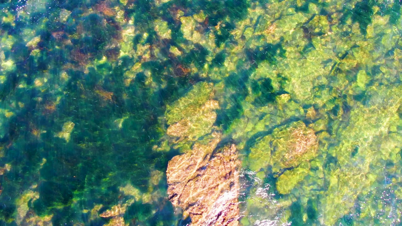 Clear coastal water in La Bocana shows a rocky seabed with green algae, brown seaweed areas, and a bright tan rock near the lower left, with no visible people.