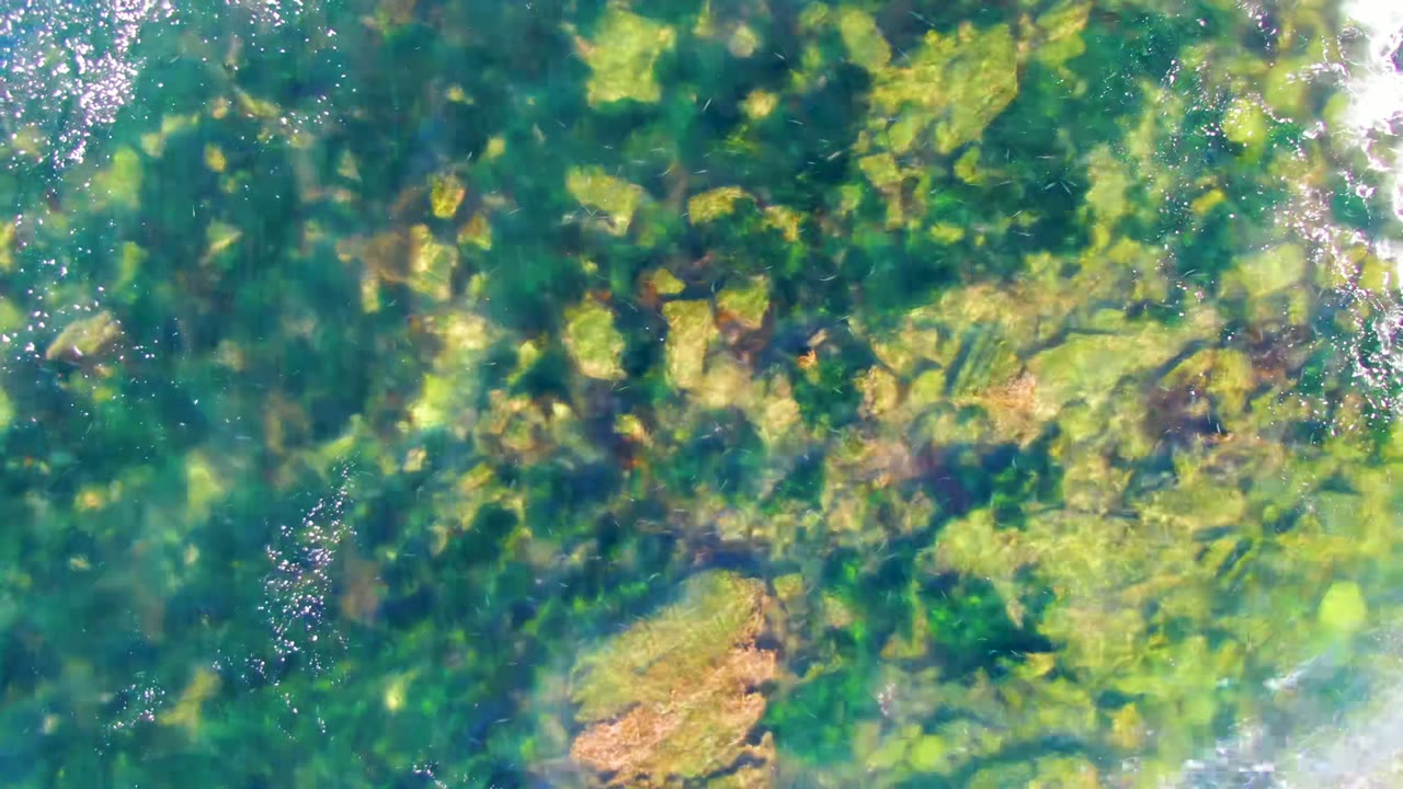 Clear shallow water in La Bocana, Baja California Sur reveals green and yellow algae-covered rocks with bright surface sparkle near the upper left and no visible people.