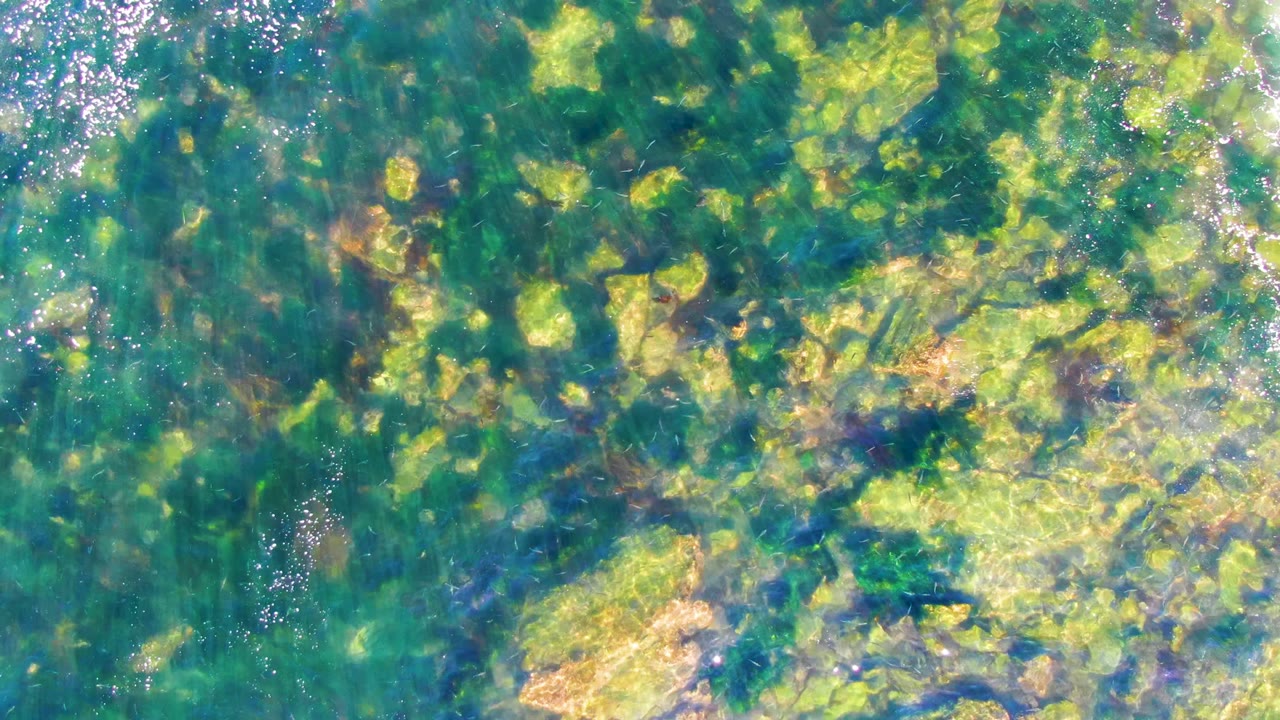 Blue-green water with algae-covered seabed