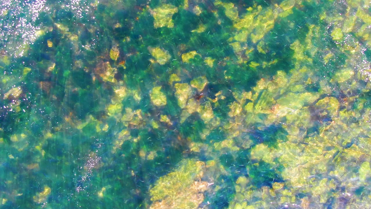 Sunlit shallow water in La Bocana, Baja California Sur passes over mottled green algae and pale yellow rocks, with bright flecks of reflected light and no visible people.