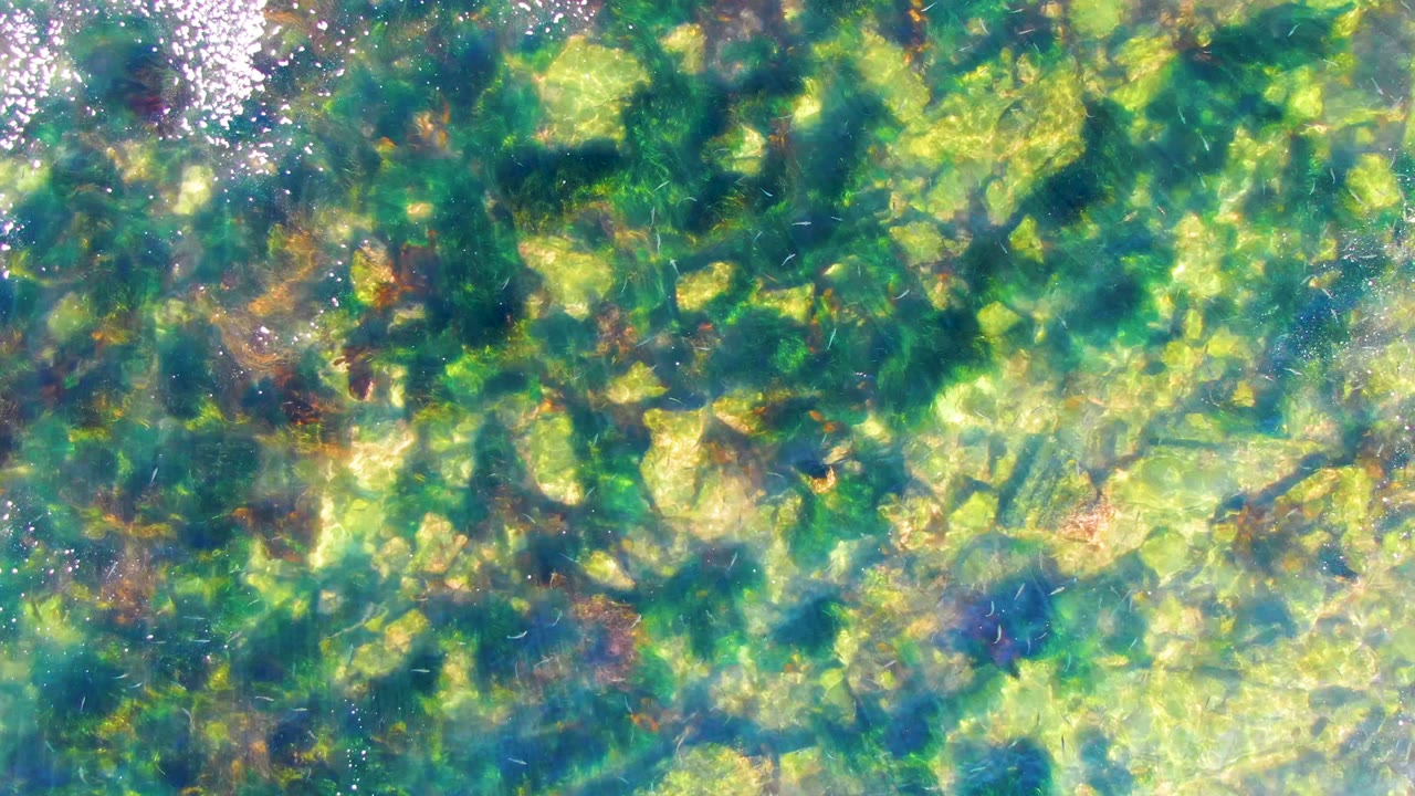 Sunlit ripples over rocky seabed