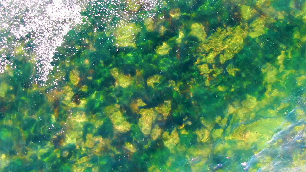 Clear shallow water in La Bocana, Baja California Sur, with green submerged vegetation, pale rocks, bright reflected light near the upper left, and no visible people.