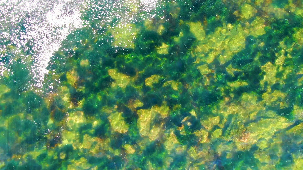 Green-blue shallow water with submerged vegetation and a vertical band of reflected light.
