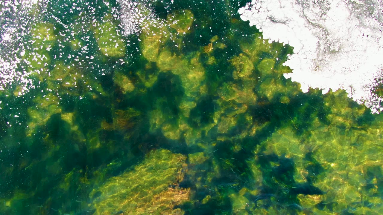Green shallow water with darker algae patches and white foam along the upper right.