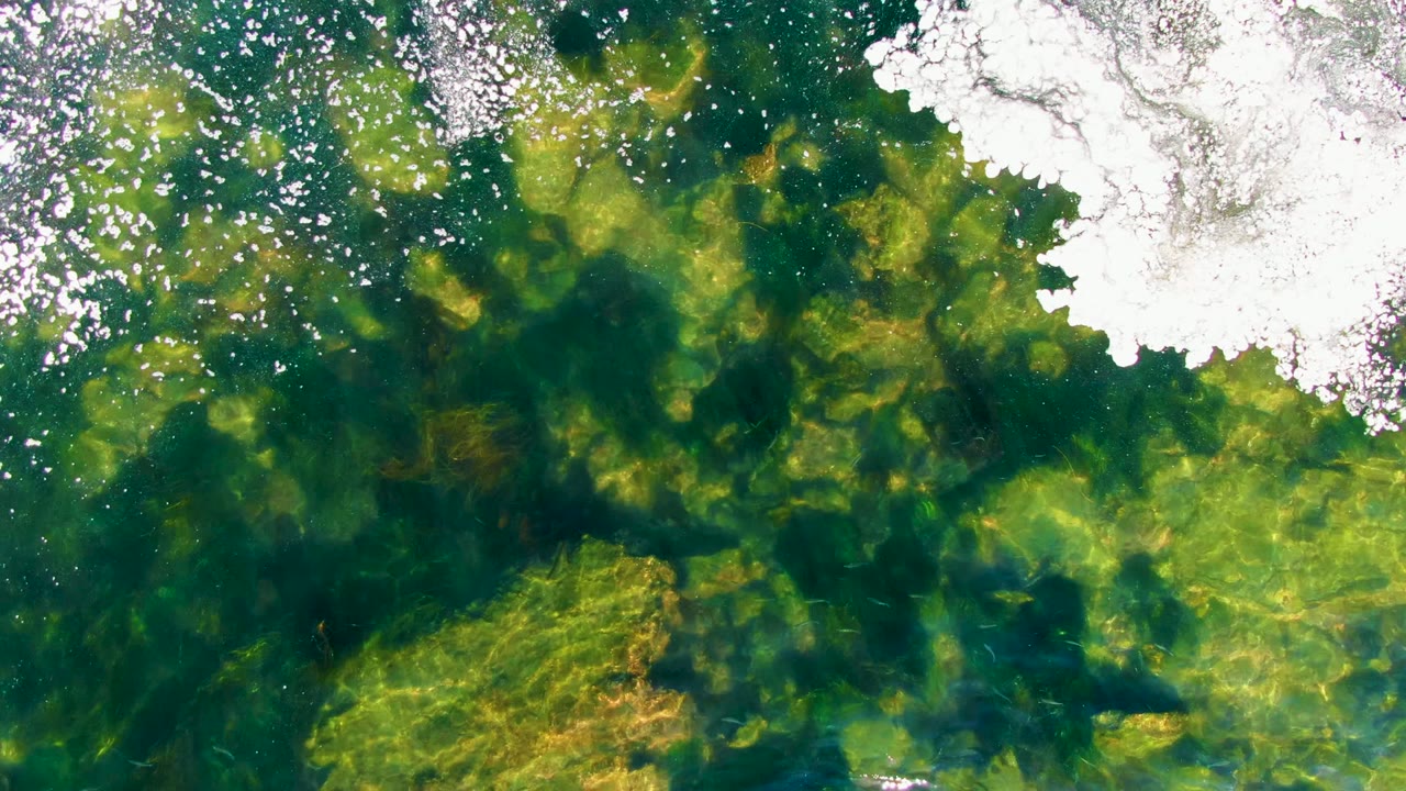 At 0:02 in La Bocana, white shoreline foam spans the top of the overhead frame above mottled green water and submerged algae, with no visible people.