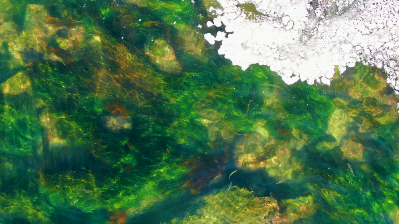 La Bocana underwater detail shows mottled rocks, green plant strands, and a bright white foam cluster along the upper right of the clear water, with no visible people.
