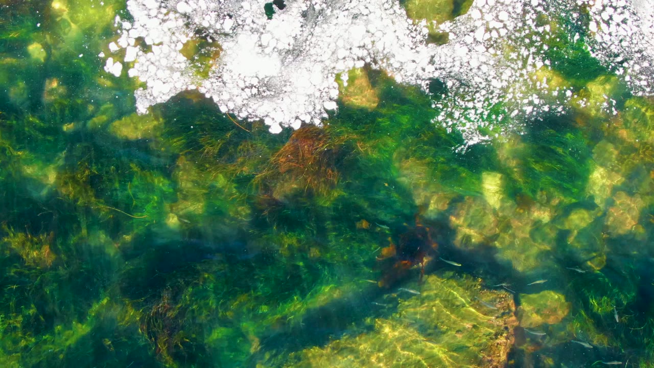 Overhead view in La Bocana, Baja California Sur, with white ice patches at the top of clear green water, submerged vegetation, pale rocks below, and no visible people.