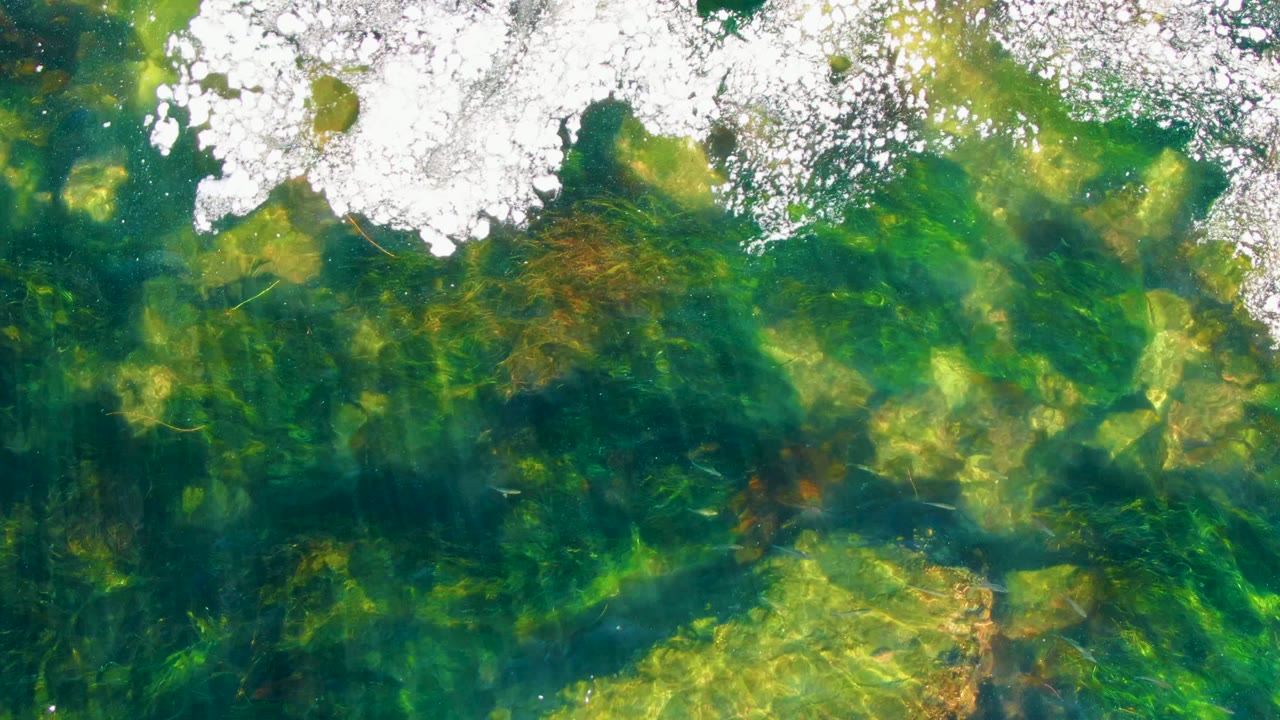 La Bocana overhead water detail with broken white ice on the surface, darker green vegetation under the water, small pale rock forms, and no visible people.