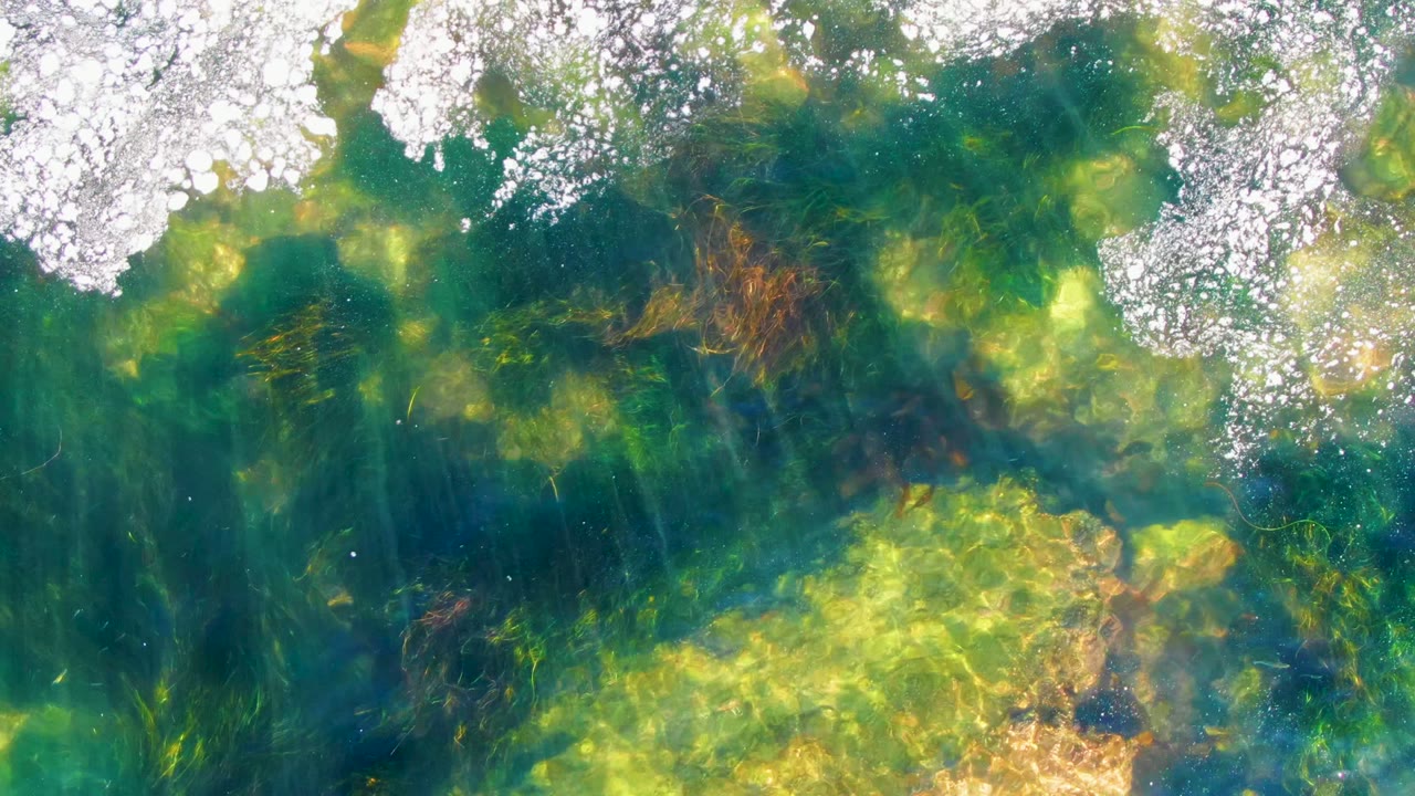Overhead view of clear green-blue water in La Bocana with dark seaweed, bright surface sparkle at the top edge, a pale submerged rock area below, and no visible people.