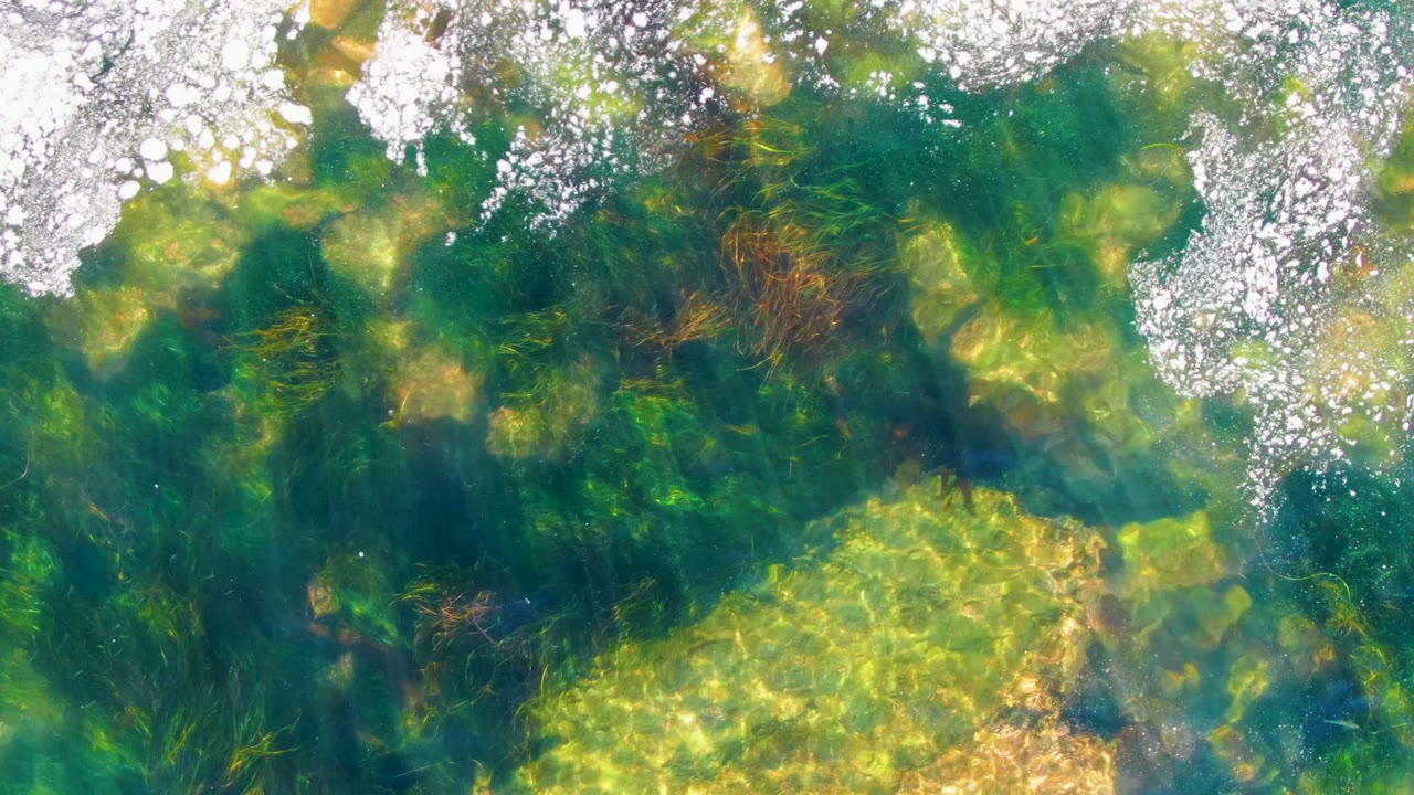 Green-blue water over seaweed with bright foam and light patterns.