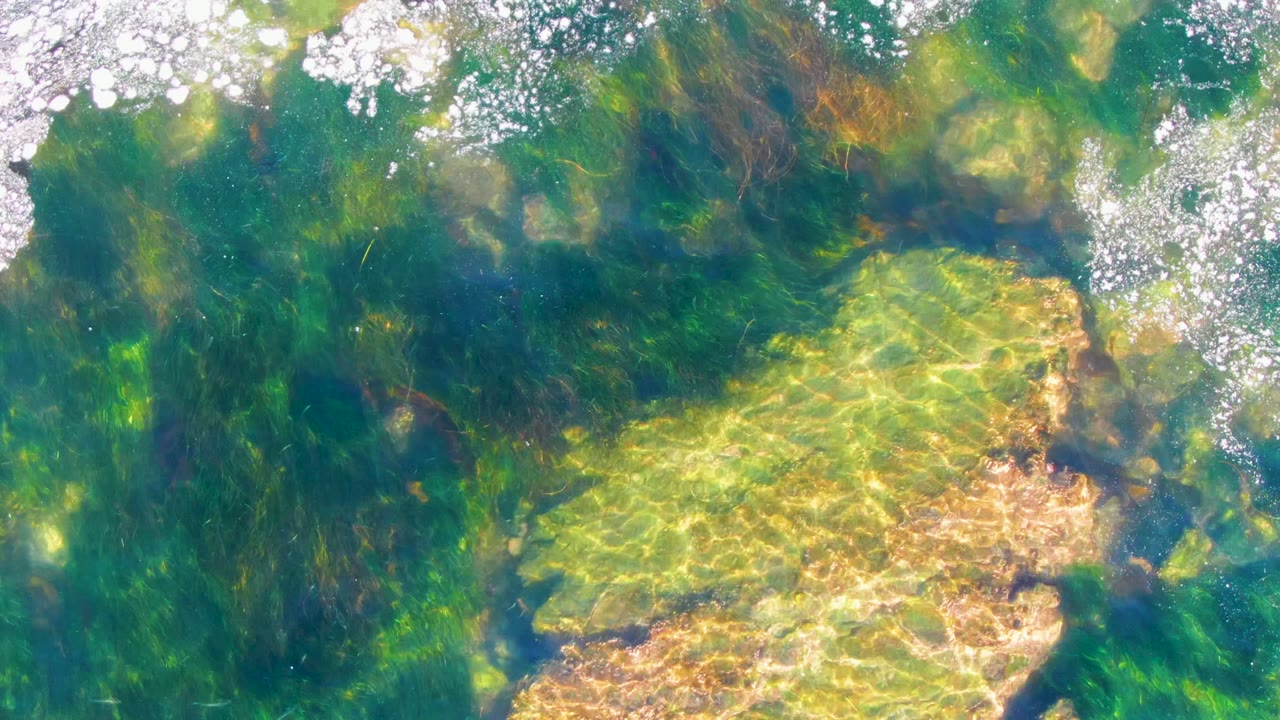 Clear shallow water in La Bocana, Baja California Sur shows green submerged algae, tan seabed patches, bright surface bubbles near the top edge, and no visible people.