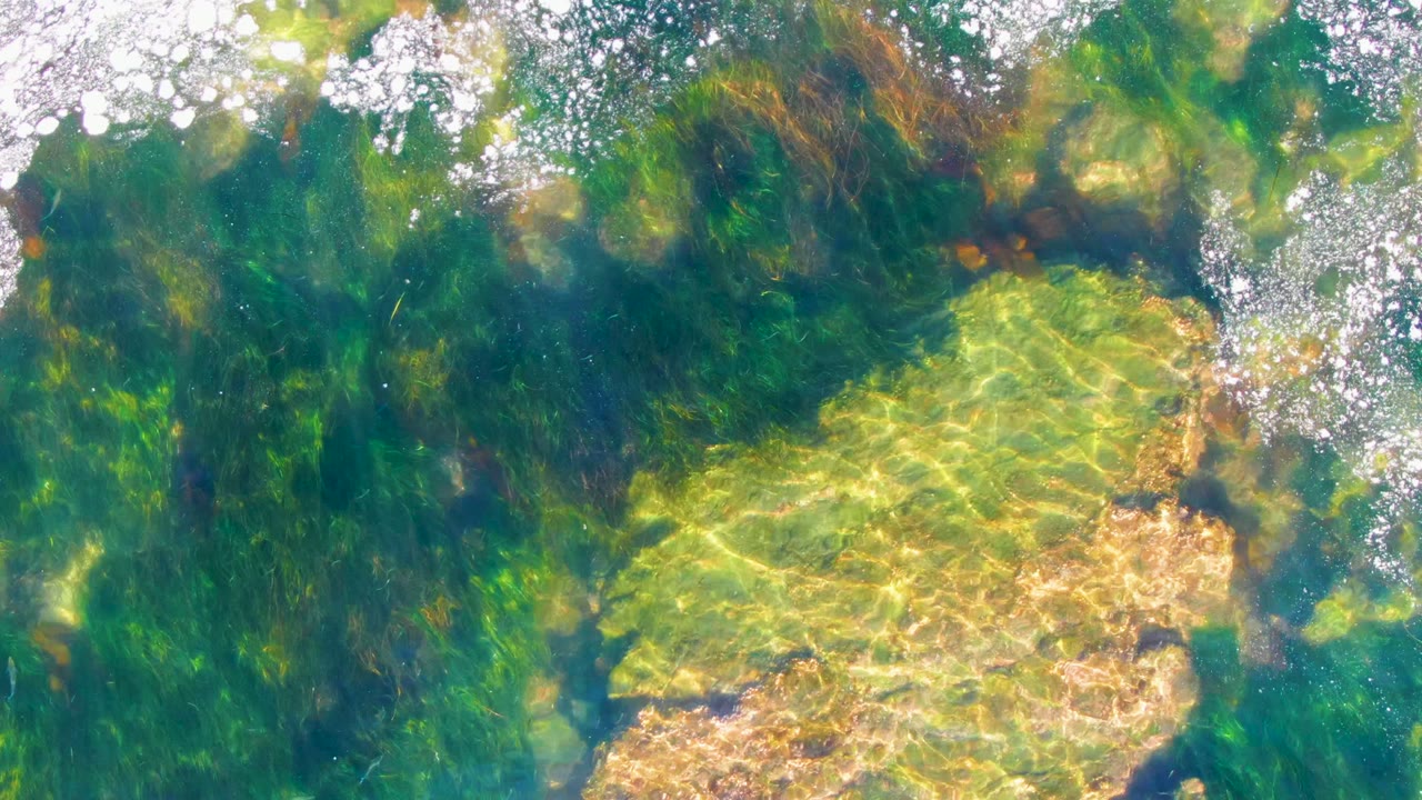 Green underwater algae and pale seabed seen through rippled clear water.