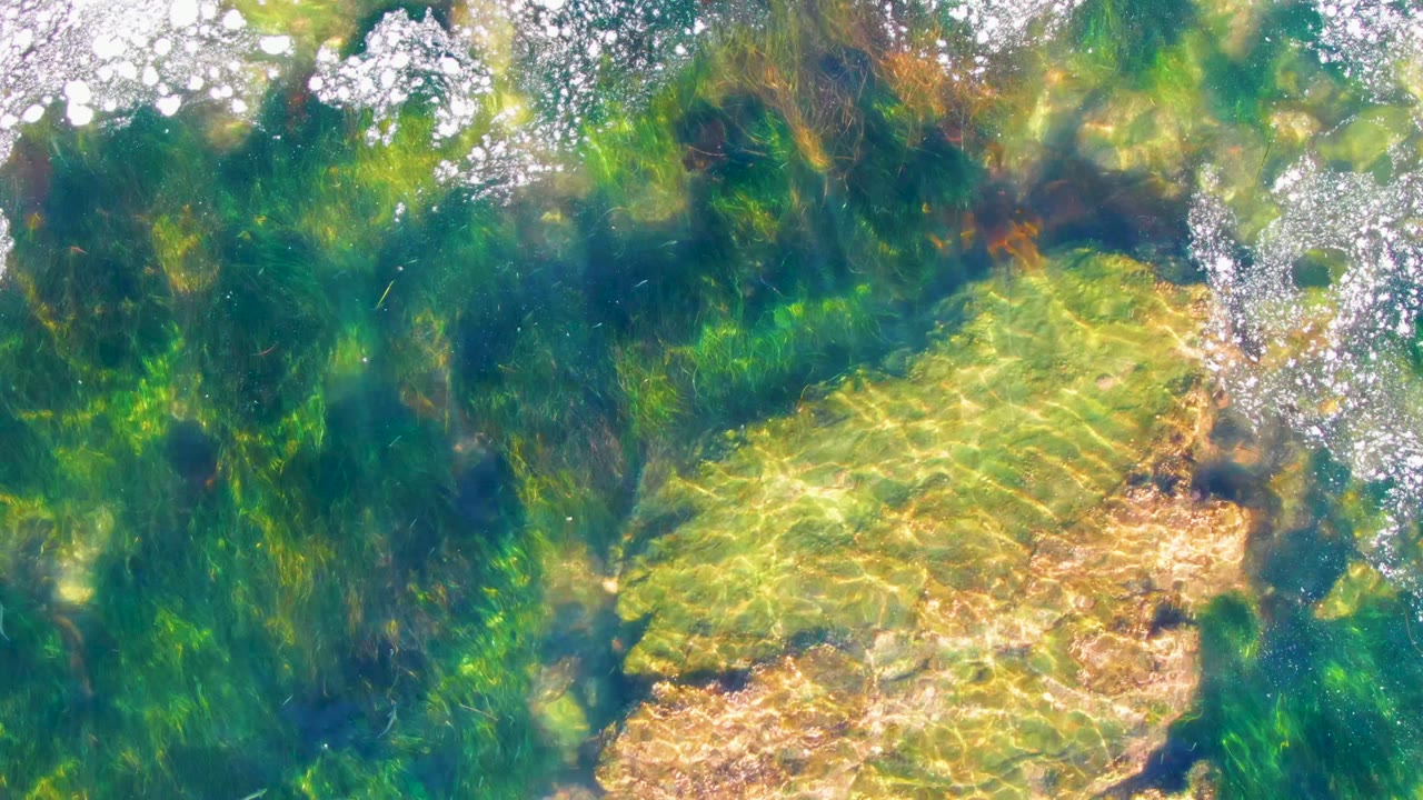 At two seconds, green algae fills much of the La Bocana water view, with bright bubble clusters near the upper edge, golden refraction on the bottom, and no visible people.