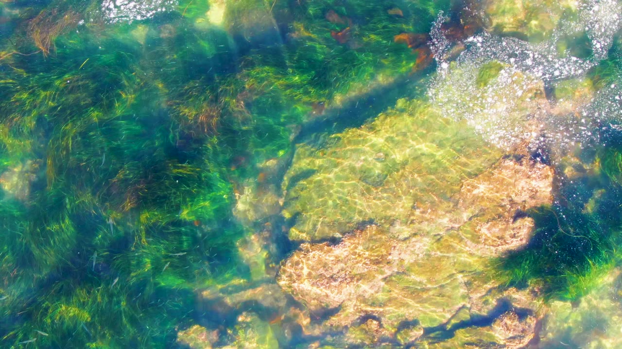 Overhead view of clear shallow water in La Bocana, Baja California Sur, with pale submerged rocks, green seagrass, sunlight ripples, and no visible people.