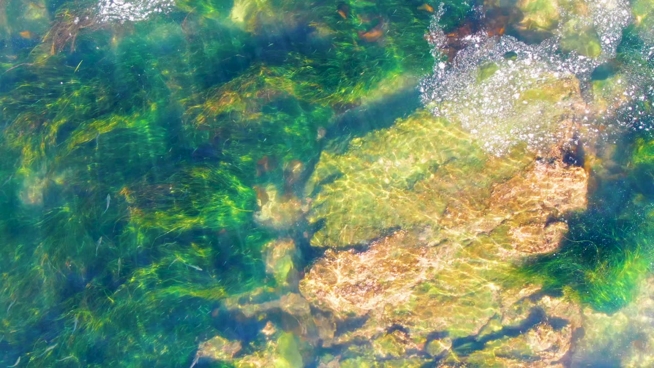 Sunlit rock patch under green-blue shallow water.