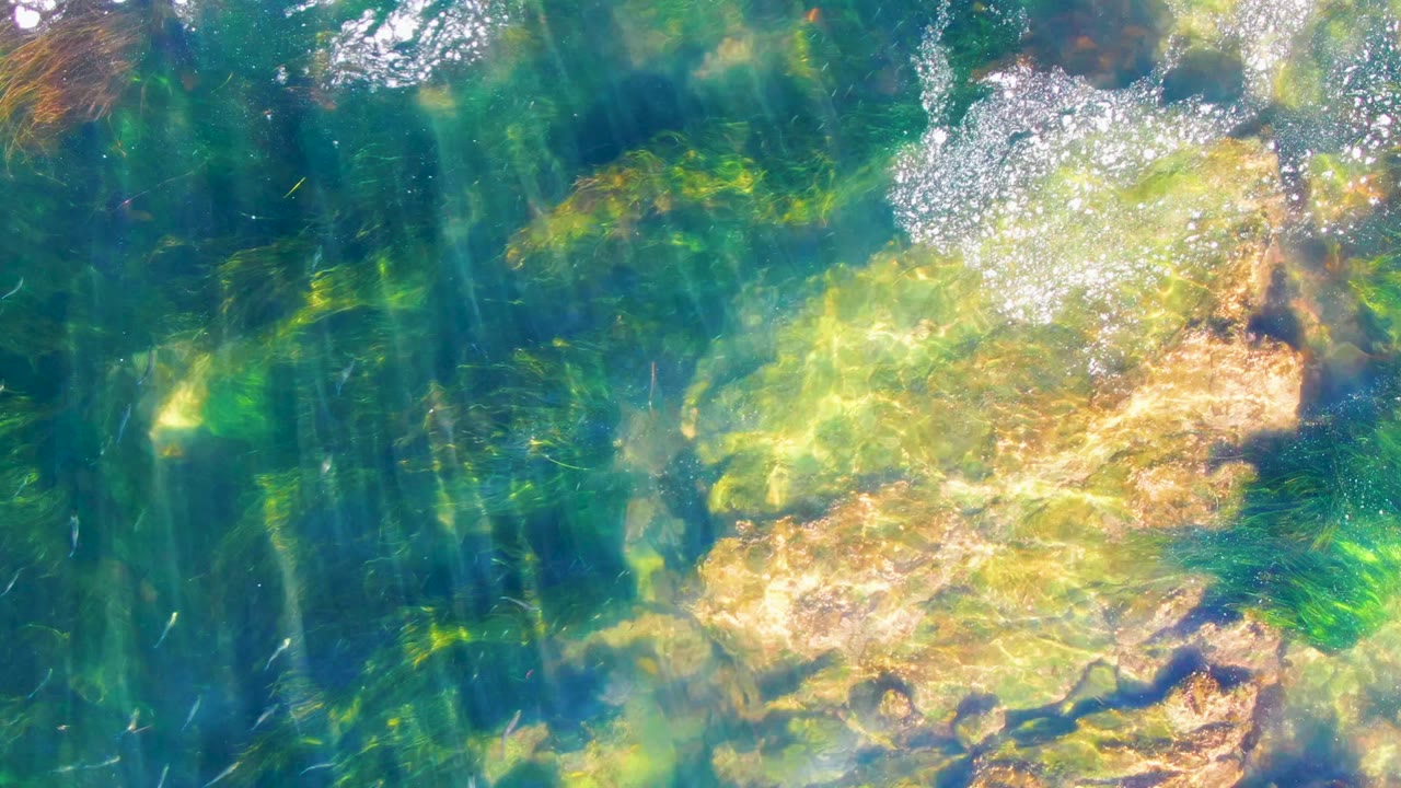 The frame looks down through green-blue water at a pale rocky seabed, scattered seagrass, small white bubbles near the top, and no visible people in La Bocana.