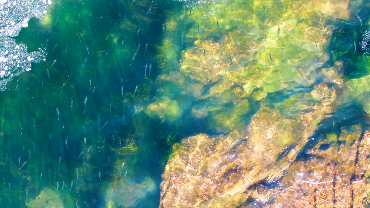 La Bocana overhead frame with a large pale rock at the lower right, darker green water at left, small fish streaks, and no visible people.