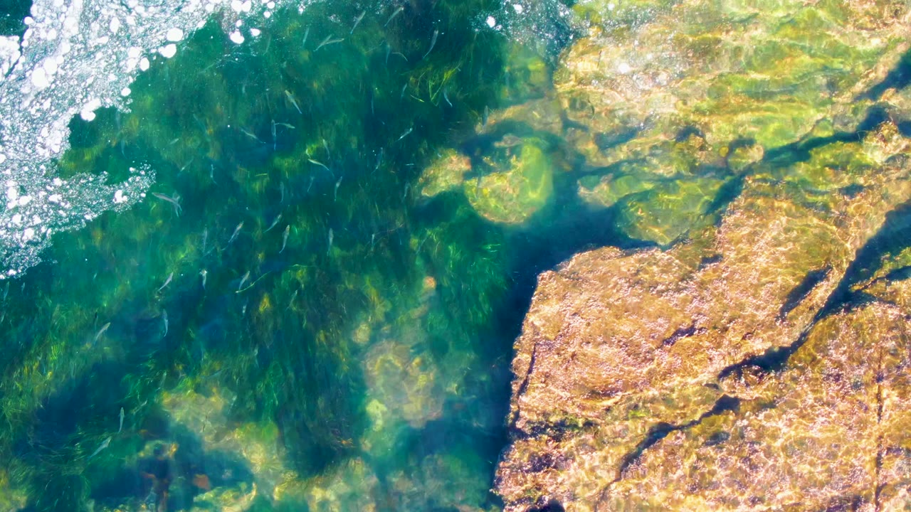 Overhead view in La Bocana, Baja California Sur, showing clear green water, tan submerged rocks, small fish, and white bubbles near the top edge with no visible people.