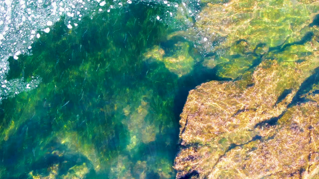 The La Bocana frame shows small fish spread through green shallow water, darker submerged patches, tan rock edges, and bright bubbles entering from the top with no visible people.
