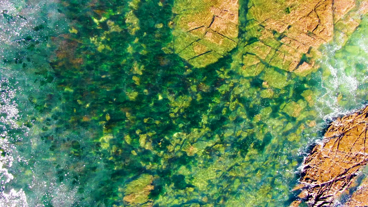 Clear green coastal water with rocks visible below the surface
