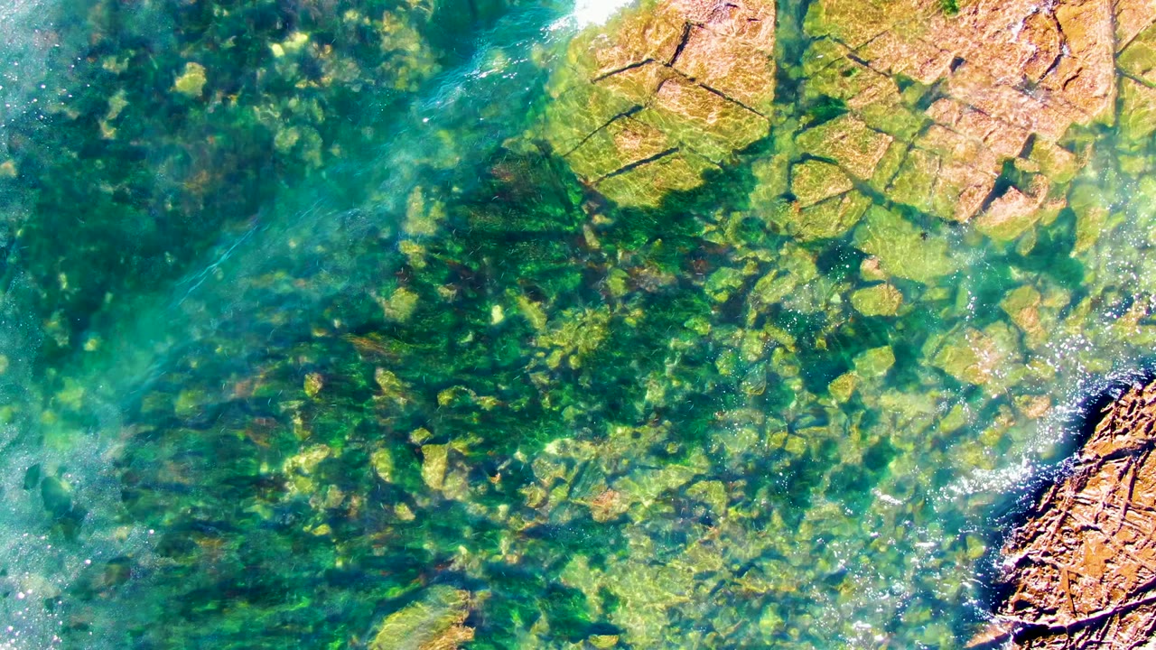 Overhead frame of clear green water over submerged stones and algae near rust-colored rocks in La Bocana, Baja California Sur, with no visible people.