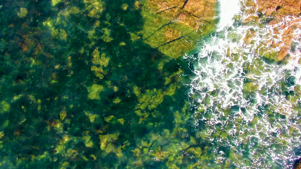 Overhead view in La Bocana, Baja California Sur of clear shallow water revealing green algae-covered rocks, with white ripples entering from the right and no visible people.