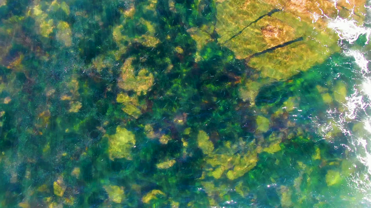 Clear shallow blue-green water reveals algae-covered rocks in La Bocana, Baja California Sur, with bright surface reflections and no visible people.