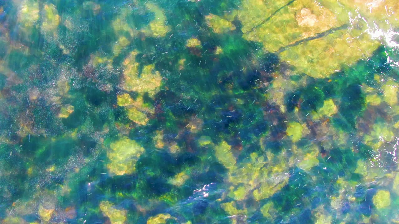 Blue-green shallow water shows scattered algae patches and pale submerged rocks at La Bocana, Baja California Sur, with no visible people.