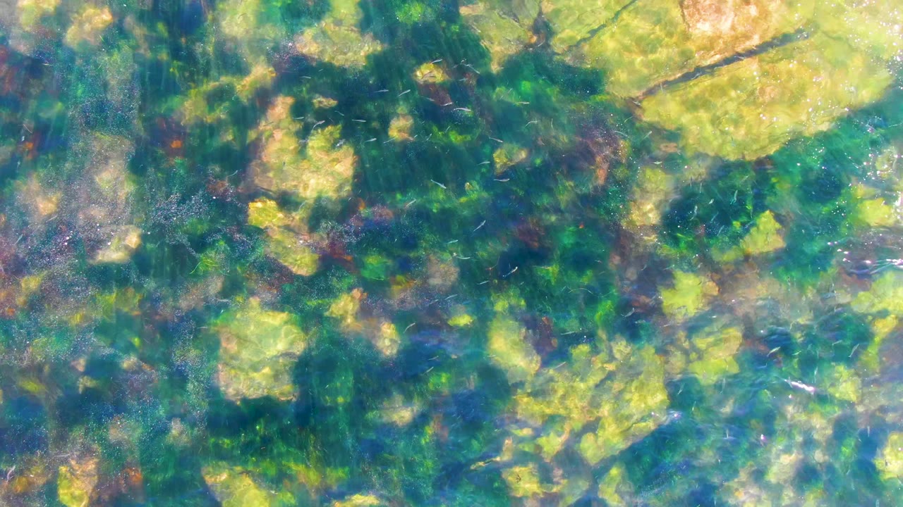 Clear shallow water in La Bocana, Baja California Sur shows green submerged vegetation, yellow sunlit patches, blue-green shadows, and no visible people at the opening moment.