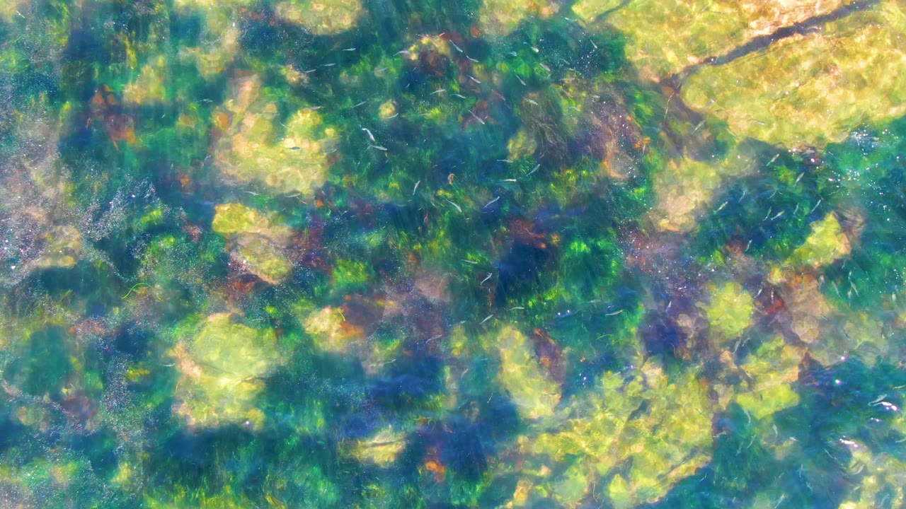 Blue-green rippled water covers soft submerged vegetation in La Bocana, with scattered bright highlights across the surface and no visible people.
