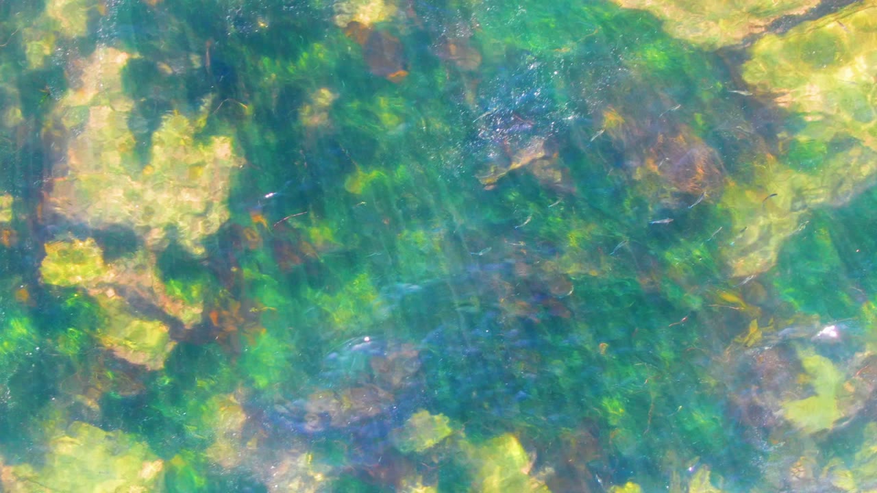 Clear shallow water in La Bocana, Baja California Sur shows pale rocks beneath green aquatic plants and bright surface shimmer, with no visible people.