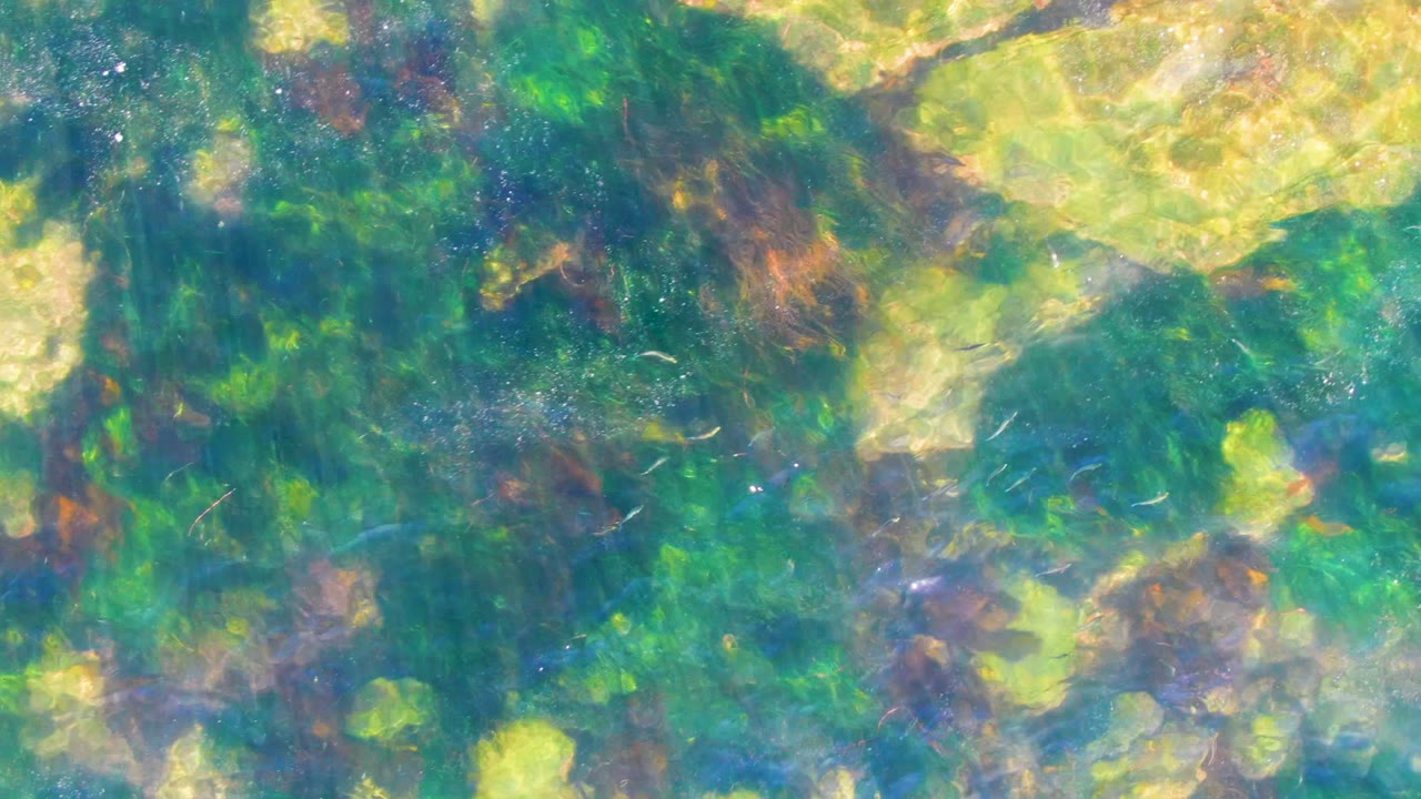 Shallow water in La Bocana reveals green plant clusters, yellow-toned rocks, and soft blue shadows under a shimmering surface, with no visible people.