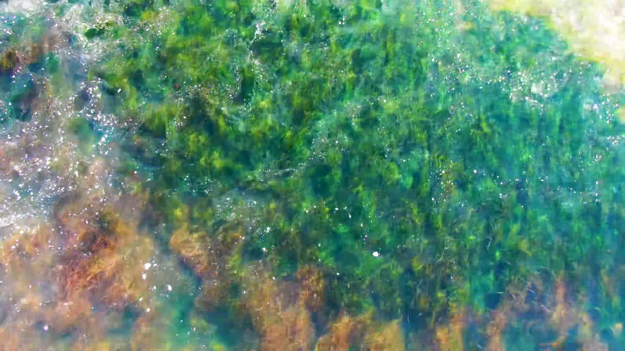 Clear shallow water in La Bocana, Baja California Sur shows green algae, brown seaweed patches, and bright surface sparkle with no visible people.