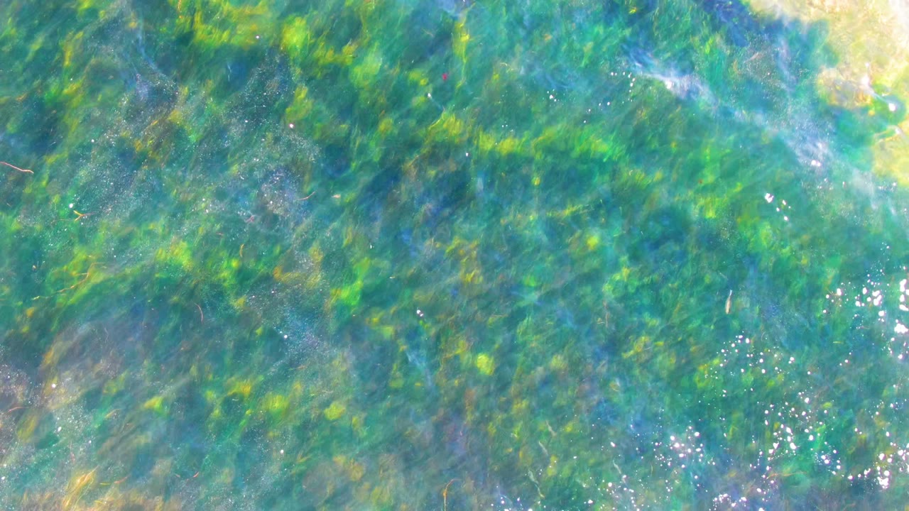 Blue-green shallow water at La Bocana shows algae beneath the surface, a brighter cluster of reflected light, and no visible people.