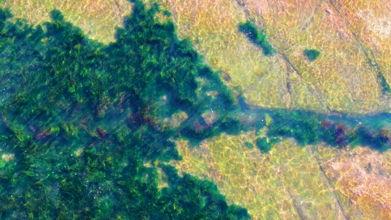 Overhead view in La Bocana, Baja California Sur, showing green-blue shallow water running across submerged vegetation and pale bottom patches, with no visible people.