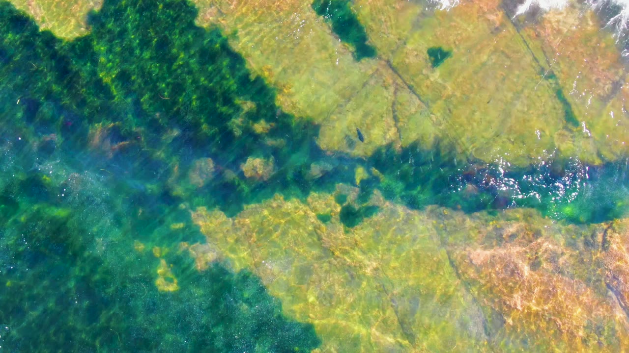 Clear water over a yellow-brown rocky seabed with green aquatic plants in La Bocana, Baja California Sur, with no visible people.