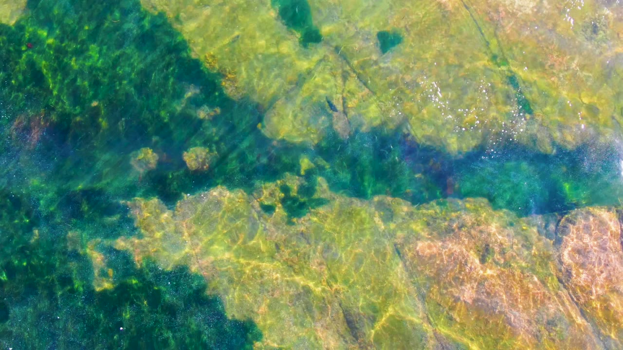 Green aquatic growth and tan rock ledges sit under clear water in La Bocana, Baja California Sur, with speckled surface reflections and no visible people.