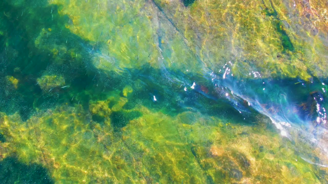 Clear shallow water flows over green algae and tan rocks in La Bocana, Baja California Sur, with bright sun glints and no visible people.