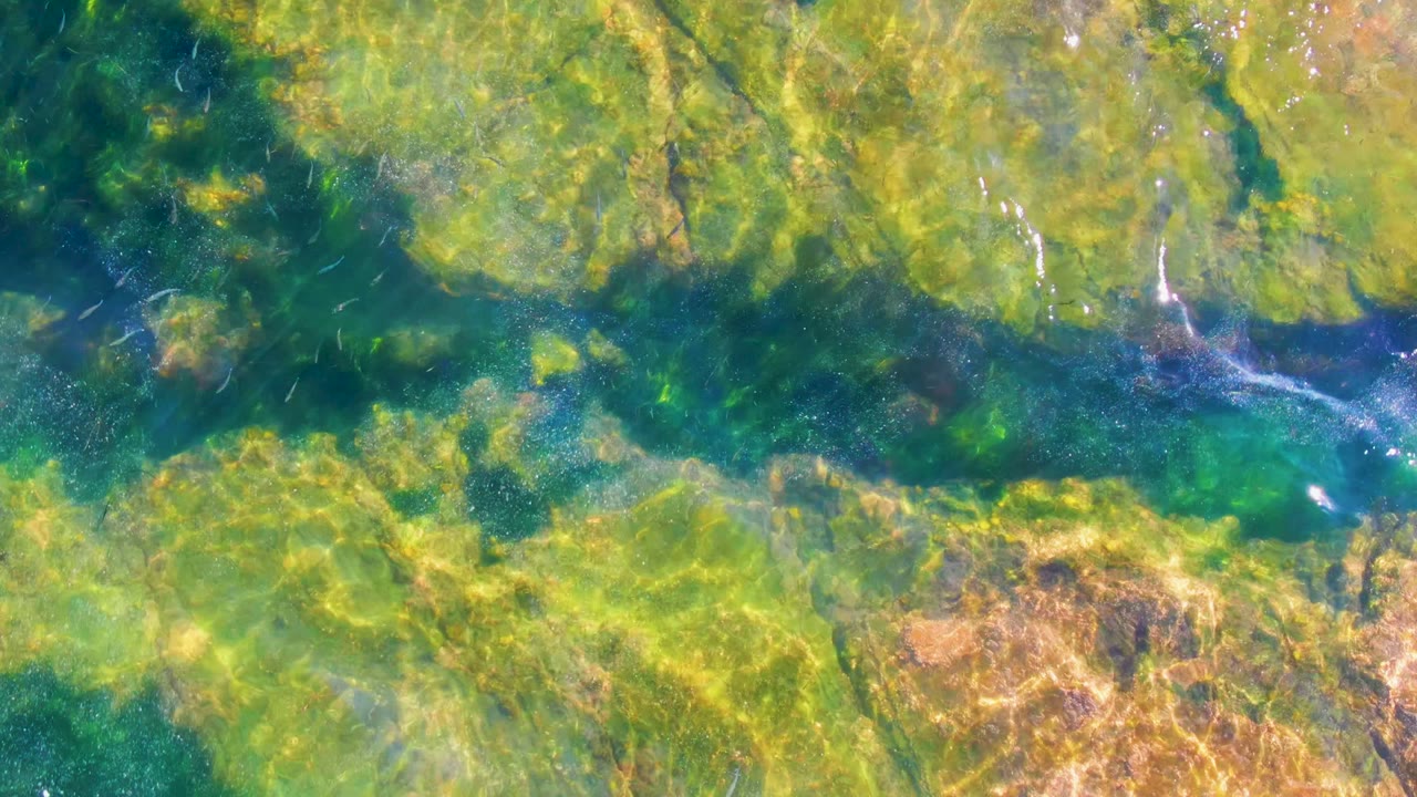Sunlit ripples reveal green algae, brown rock patches, and transparent water texture in La Bocana, Baja California Sur, with no visible people.