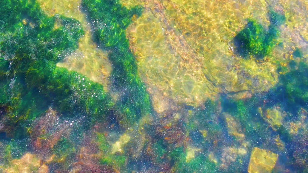 Close underwater frame from La Bocana showing flat yellow rock surfaces broken by green algae and wavering light lines, with no visible people.