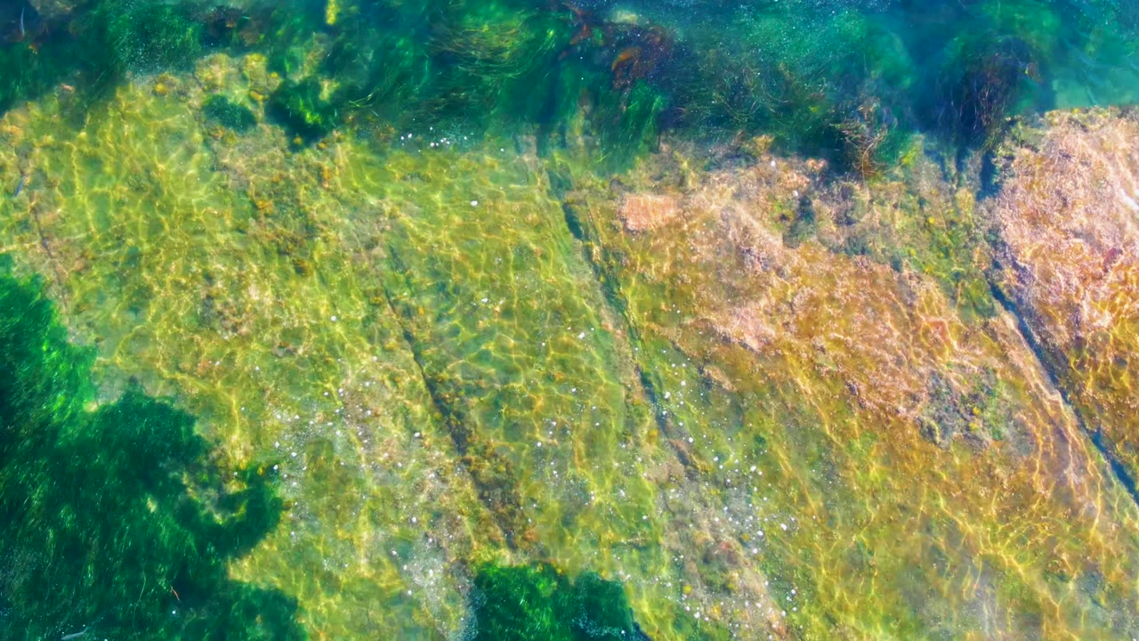 Clear shallow water in La Bocana, Baja California Sur reveals tan rock, green algae, and dark seaweed shadows with no visible people.