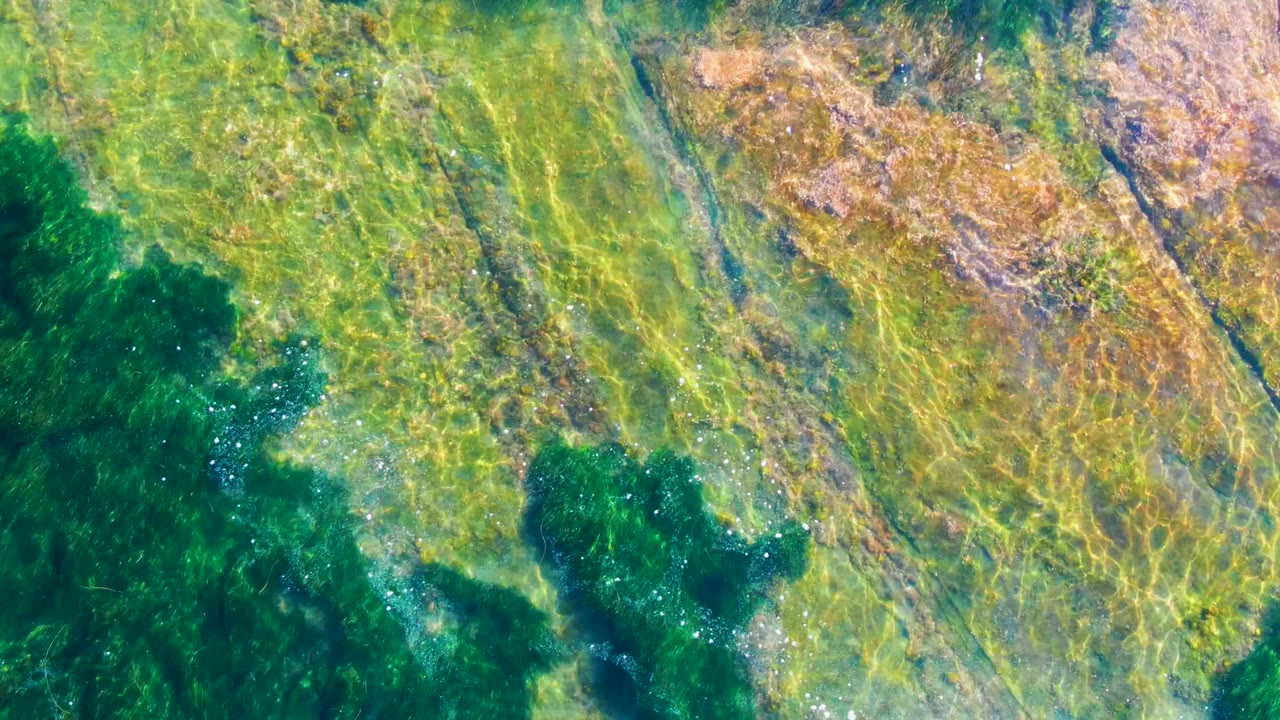 Clear water at La Bocana passes over pale tan rock and dark green seaweed shapes, with bright specks of reflection and no visible people.