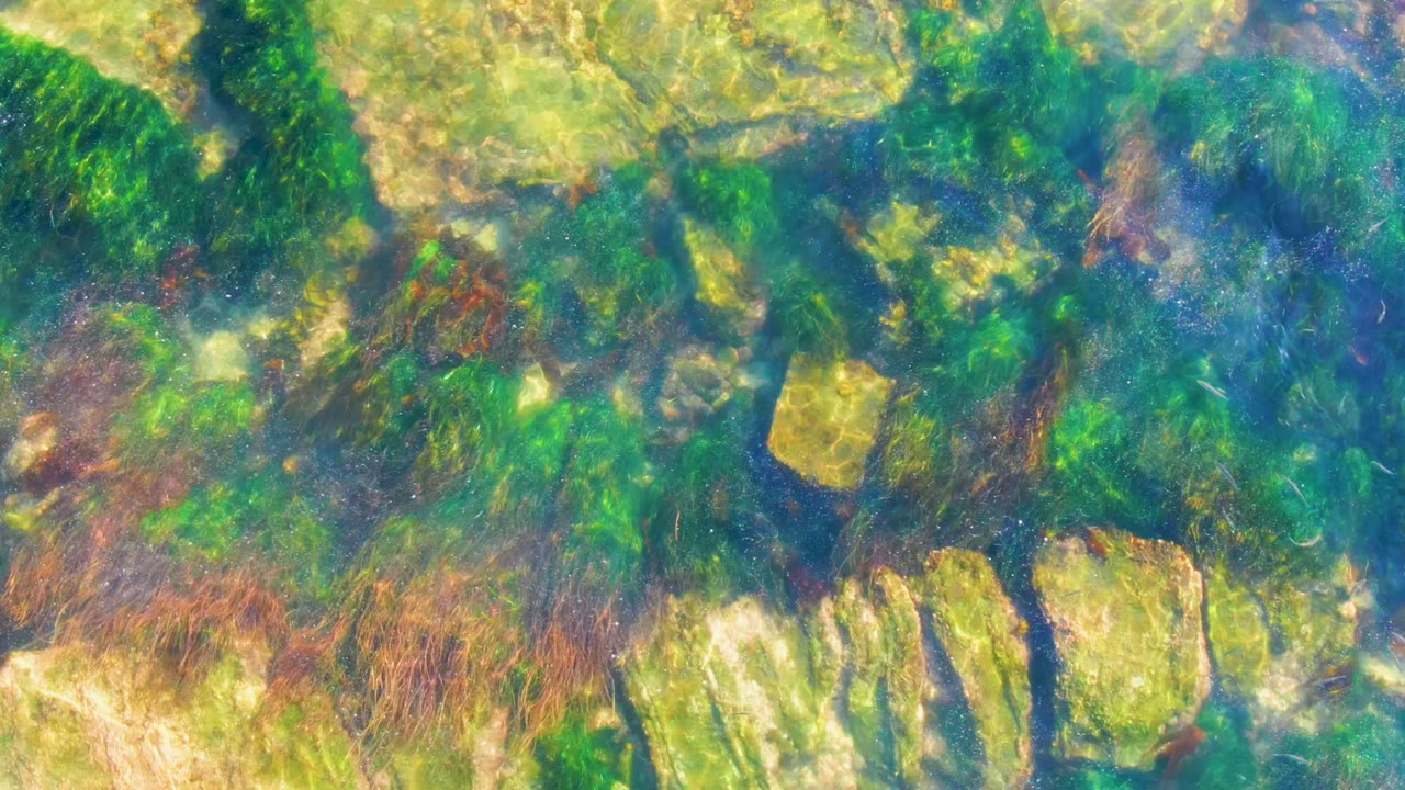 Submerged rocks and algae seen through rippled clear water